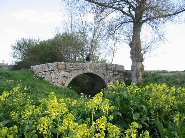 Camino de Santiago: De Villafranca de Montes de Oca a Burgos